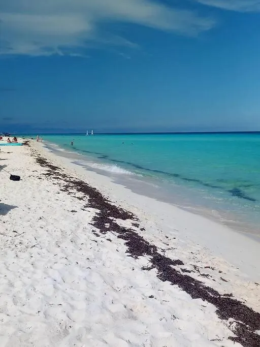 Estudio A Unos Pasos De La Playa En Planta Alta 신데 델 카르멘 0*,