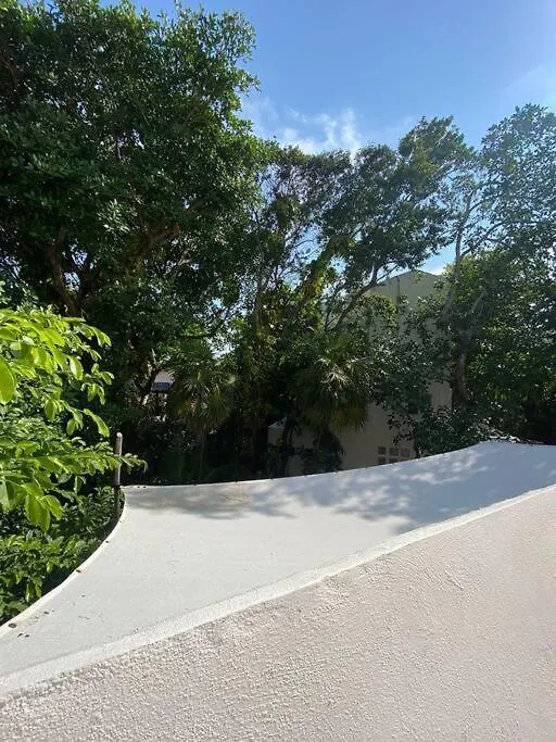 Apartamento Estudio A Unos Pasos De La Playa En Planta Alta Playa del Carmen